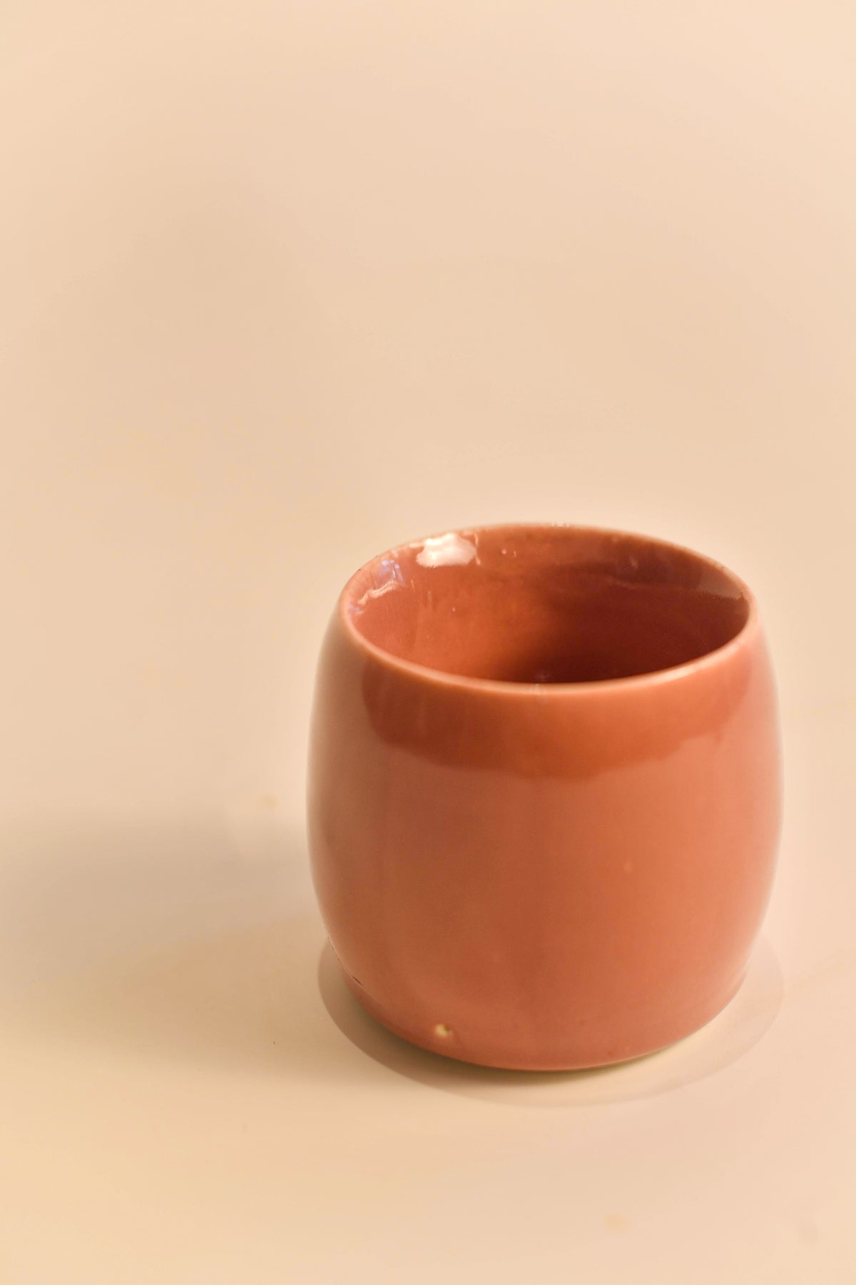 Thermal Mug